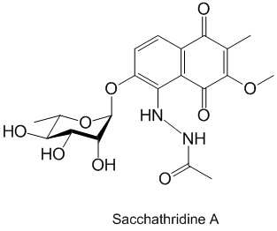 Sacchathridine A_1