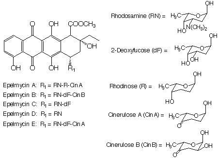 Epelmycin_1