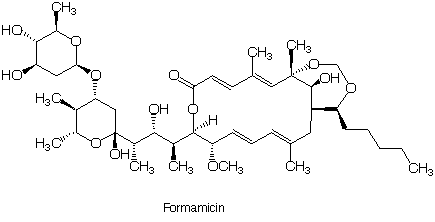 Formamicin_1
