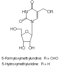5-Formyloxymethyluridine_1