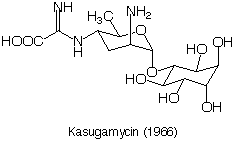 Kasugamycin_1