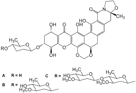 Kigamicins_1