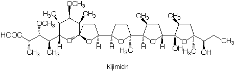 Kijimicin_1