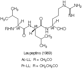 Leupeptin_1