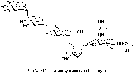 Mannopyranosyl mannosidostreptomycin_1