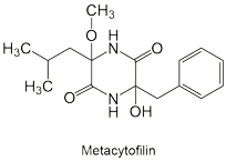 Metacytofilin_1
