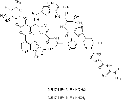 MJ347-81F4_1