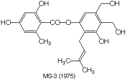 MS-3_1