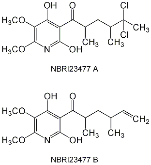NBRI23477s_1