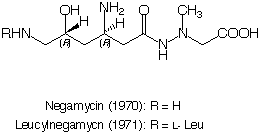 Negamycin_1