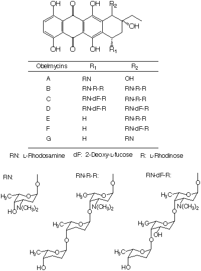 Obelmycin_1