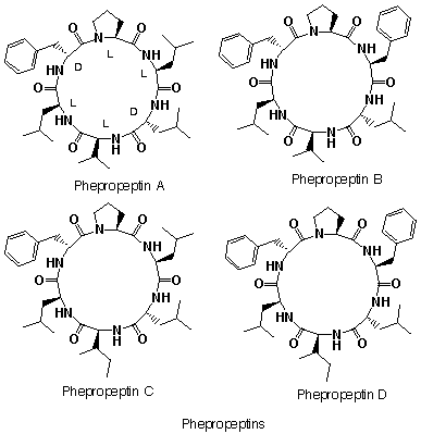 Phepropeptin_1