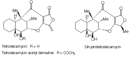 Tetrodecamycin_1