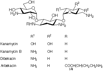 Arbekacin_1