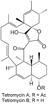 Tetromycin_1