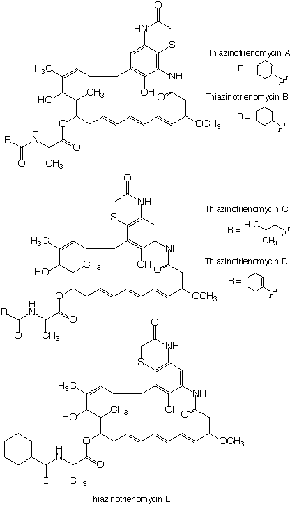 Thiazinotrienomycin_1
