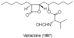 Valilactone_1