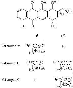 Yellamycin_1