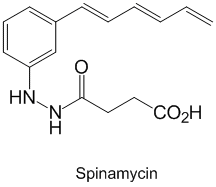 Spinamycin_1