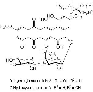 Benanomicin_3