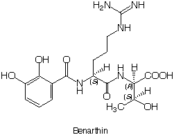 Benarthin_1