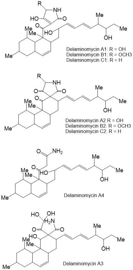 Delaminomycin_1